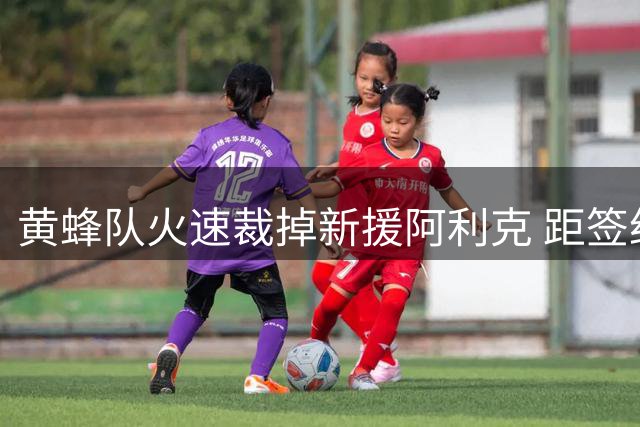 黄蜂队火速裁掉新援阿利克 距签约仅过一天